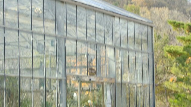 나무로 둘러싸인 온실