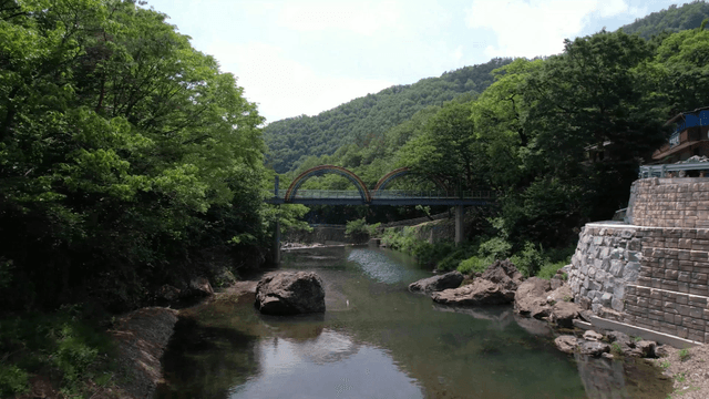 다리와 푸른 숲이 있는 고요한 강