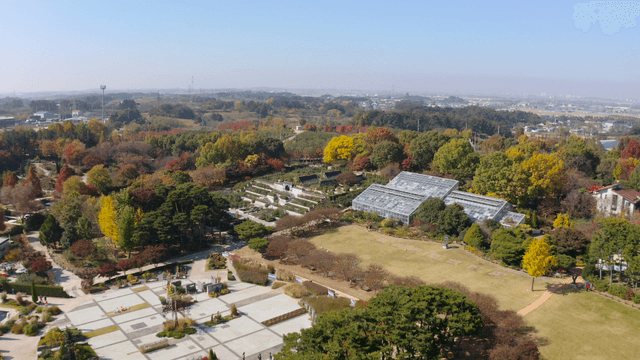A scenic park with colorful autumn trees