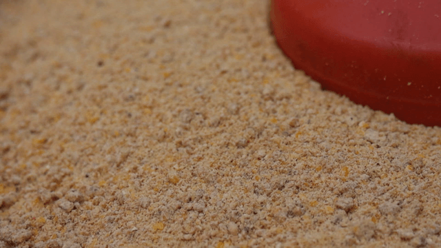 빨간 용기에 담긴 가축 사료