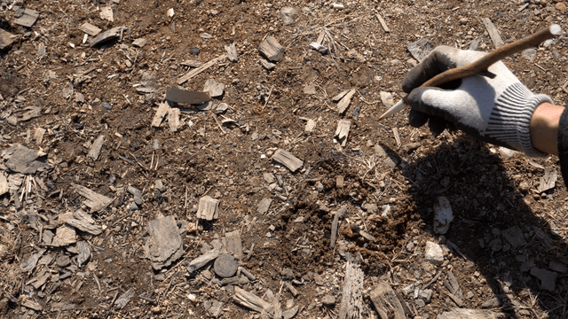 Hand writing on soil with a pencil-shaped wooden stick