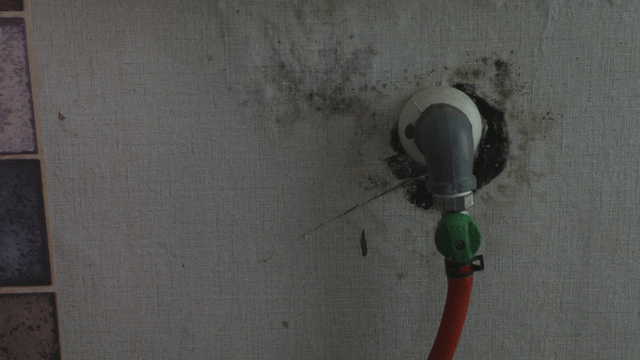 Gas valve and moldy wall