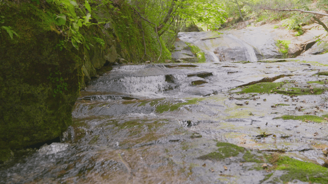 Gentle stream flowing over rocks