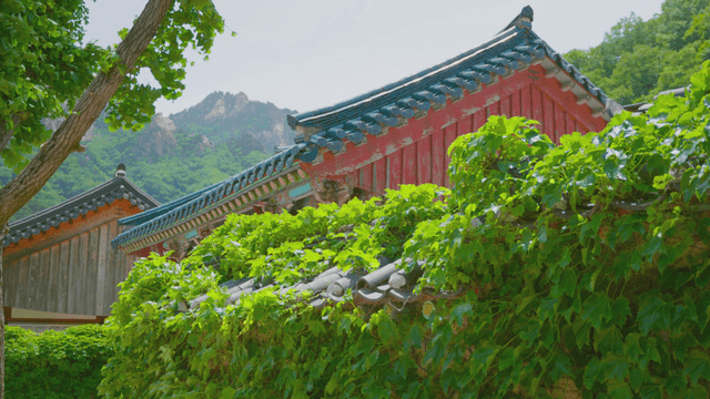 산을 배경으로 한 전통 한국 절