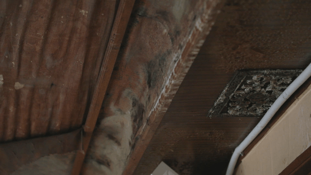 Close-up of a wooden ceiling with mold