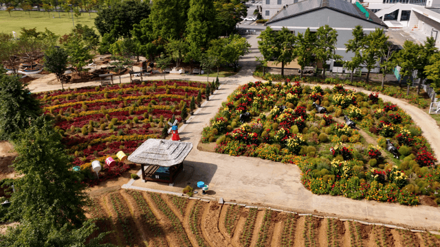 Garden view with vibrant flower fields and walking paths