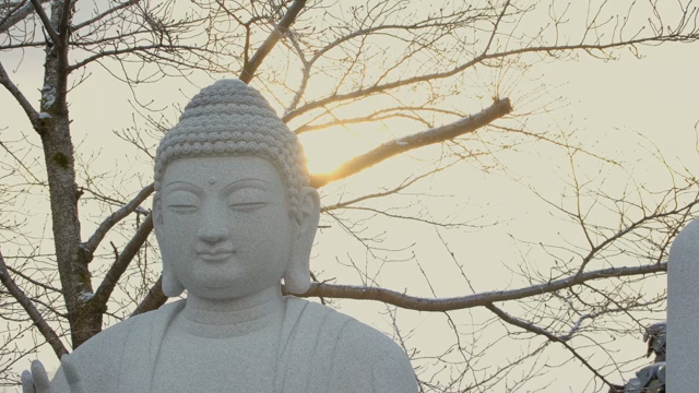 Serene Buddha statue in a winter landscape