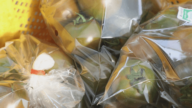Green tomatoes in plastic bags