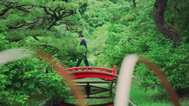 Person crossing narrow Japanese wooden bridge over lake in green forest