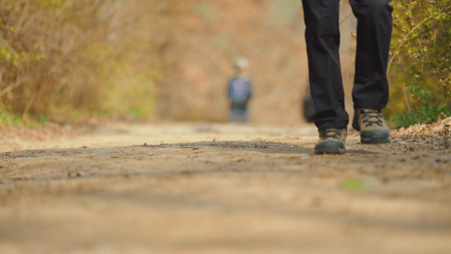 People walking on a forest trail