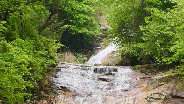 A serene waterfall surrounded by lush greenery