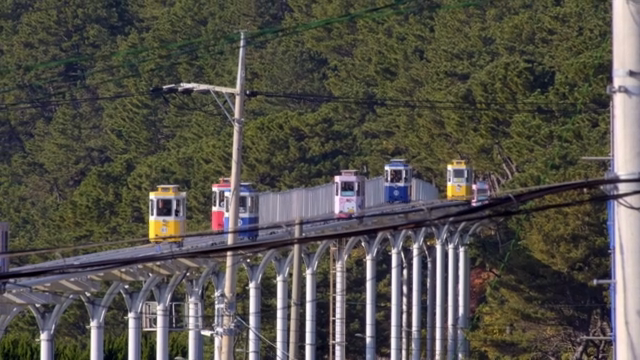 Colorful trams on elevated tracks