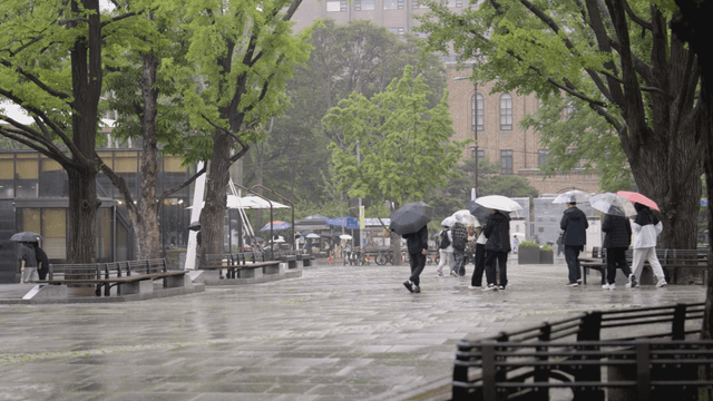 People walking with umbrellas on a rainy day
