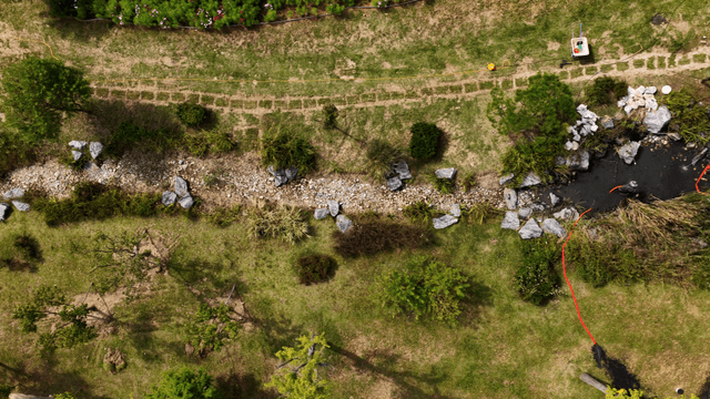 Park with diverse trees and a small artificial pond