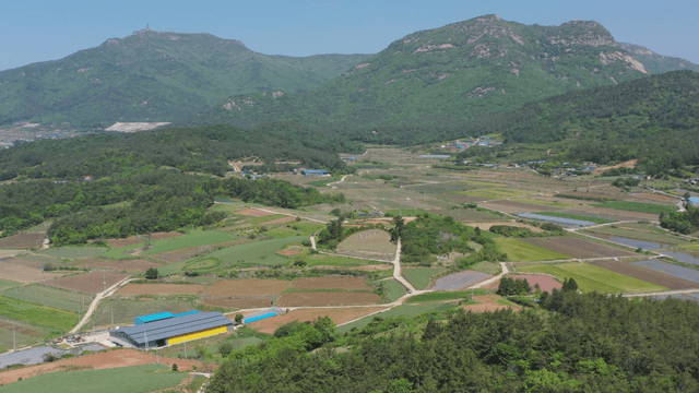 Expansive farmland with mountains in view