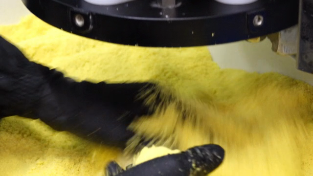 Machine processing dough in a factory