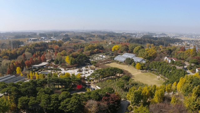 Aerial view of a park with autumn foliage