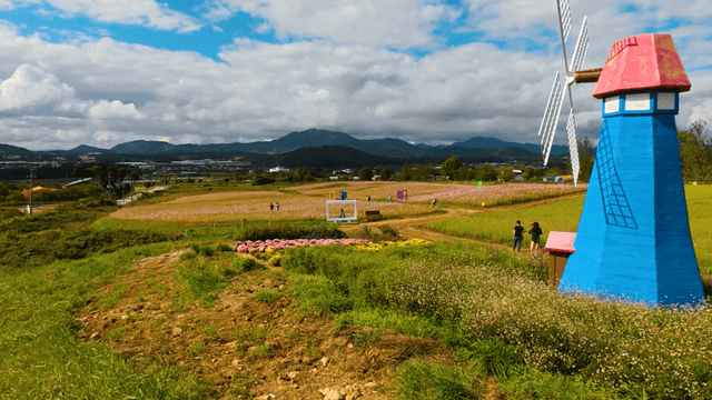People walking across a field with a blue windmill