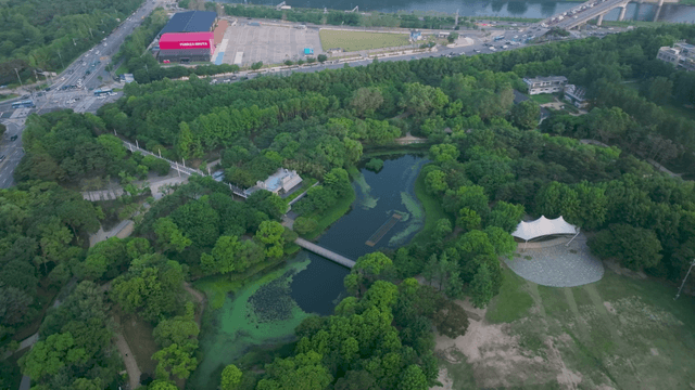 연못이 있는 푸른 공원의 항공 뷰