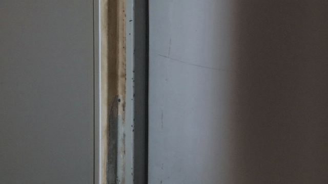 Close-up of a home wall with moss