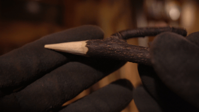 Gloved hand holding a sharply carved stick