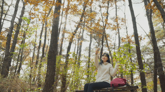 Woman taking selfie in sunlit autumn forest