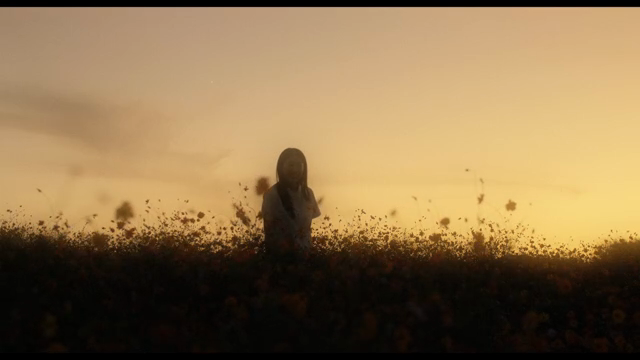 Girl standing in a flower field at sunset