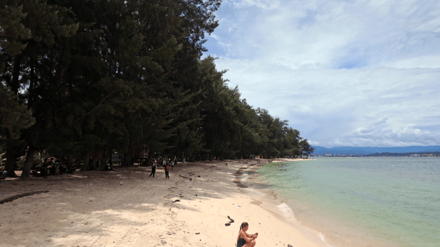 푸른 나무와 맑은 물이 있는 고요한 해변