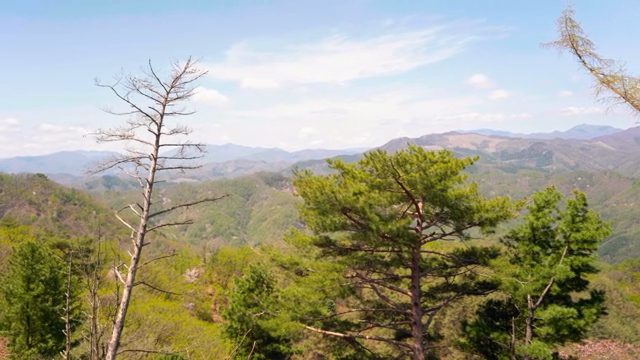 Mountain landscape with lush greenery
