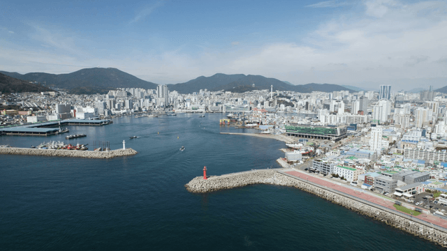 Coastal city with a vibrant skyline