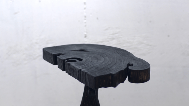 Piece of dark wood with visible rings