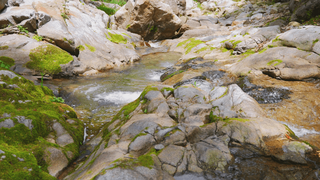 Clear valley water flowing swiftly between rocks