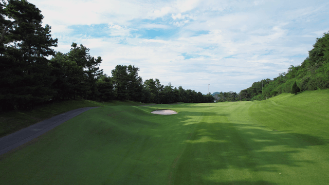 Green golf course surrounded by trees