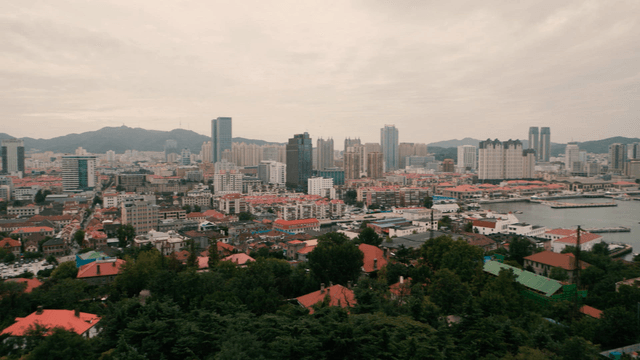 Cityscape with forest, sea, and high-rise buildings