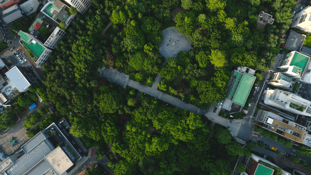 Aerial view of a city park surrounded by buildings