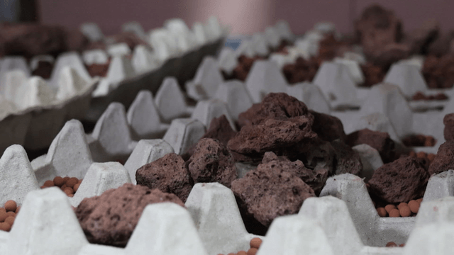 Egg carton filled with various stones