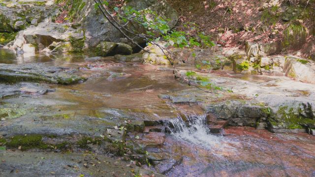 Calm stream flowing over rocks