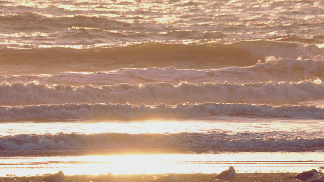 Waves crashing on a sunny beach
