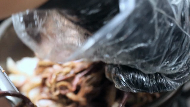 A scene where bracken is added to a hot pot