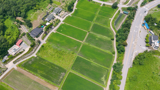 넓게 펼쳐진 초록 논밭의 항공 전경