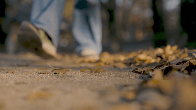 Walking person on a leaf-covered path in autumn