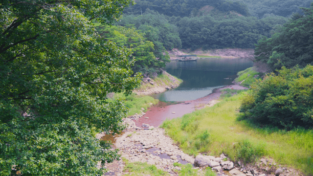 Tranquil lake in middle of forest