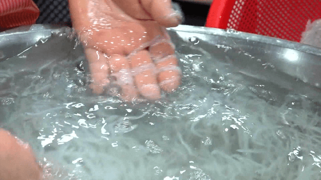Ice fish being washed in large basin
