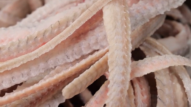 Close-up of raw fish bones strips