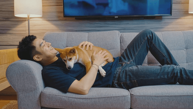 Man resting on a living room sofa with a dog