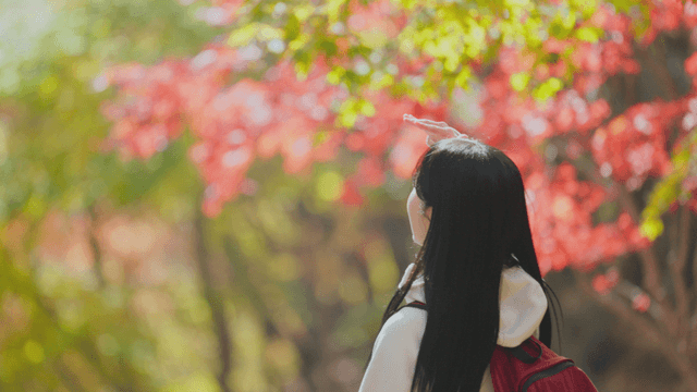 Young woman enjoying autumn forest filled with colorful foliage