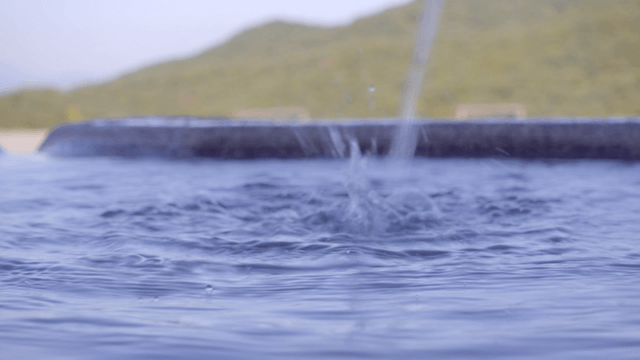 수면 위로 떨어지는 샘물 줄기