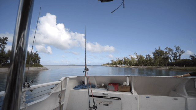Boat on a calm river with clear skies
