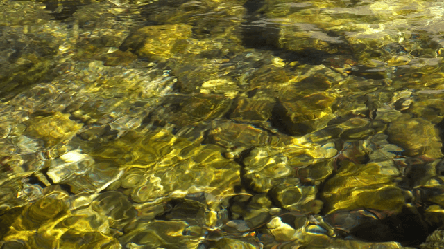 Clear river water revealing stones on the riverbed