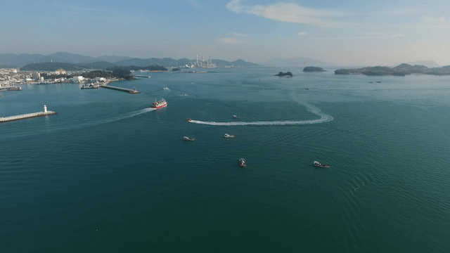 Coastal town with various ships and distant mountains